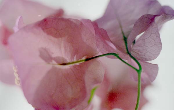 Copyright 2011 Ralph Michael Morgan